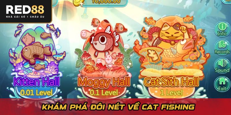 Khám phá đôi nét về Cat Fishing